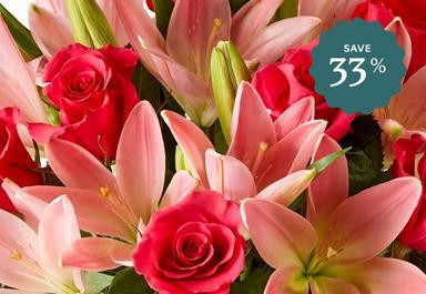 Header navigation sub menu